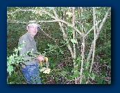 Excuse me while I just clock in